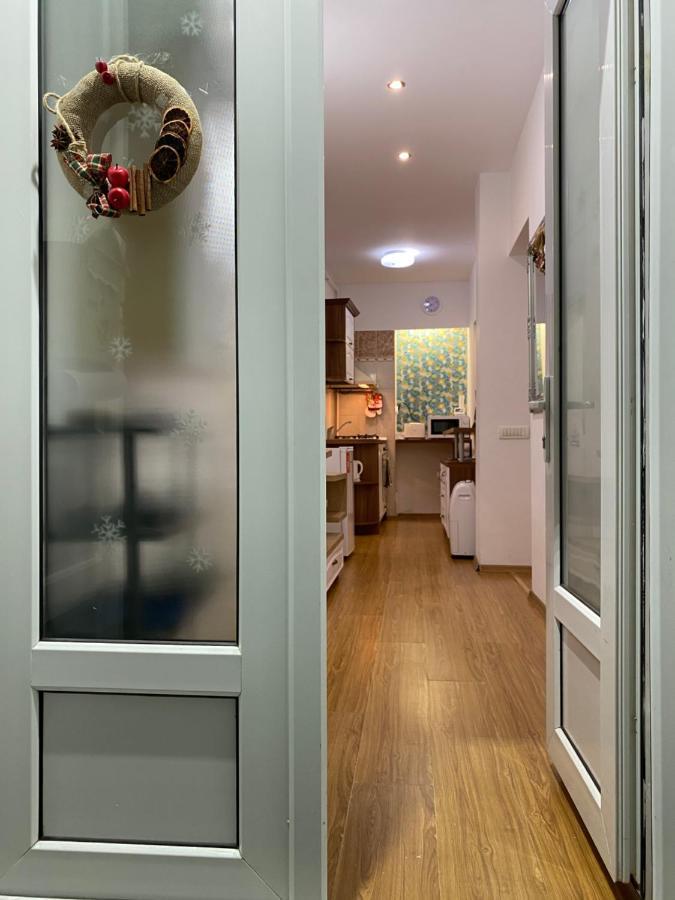 Tampa Hill Residence ブラショフ エクステリア 写真